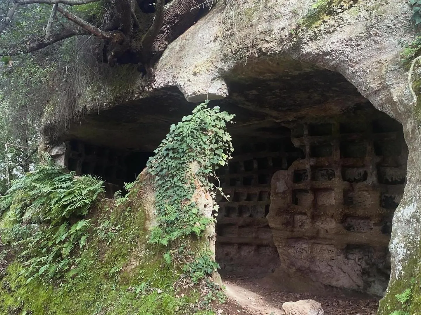 Notti Etrusche A Sovana